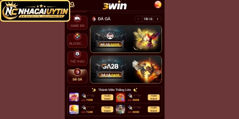 Đá Gà 3WIN trực tiếp hấp dẫn mỗi ngày